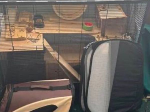 Rodent cage with accessories - Main image