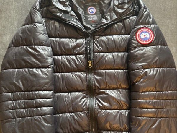 Canada goose crofton - Main image