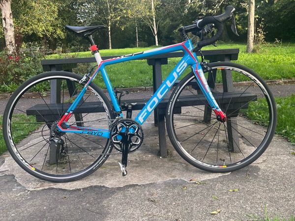 Focus Caoy, Carbon  Road bike. - Main image