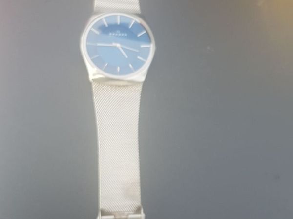 SKAGEN  Gents Wrist Watch - Main image
