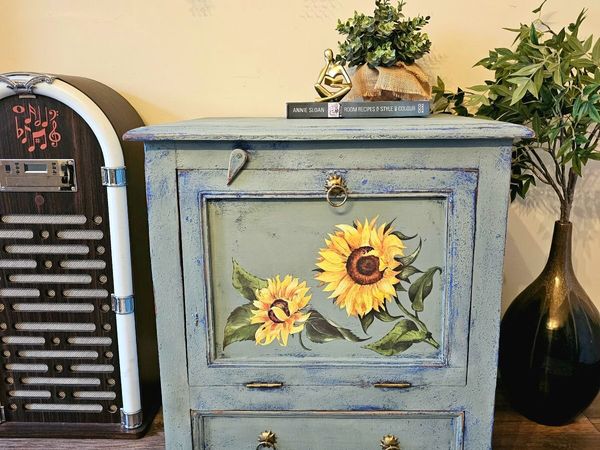 Vintage storage cabinet - Main image
