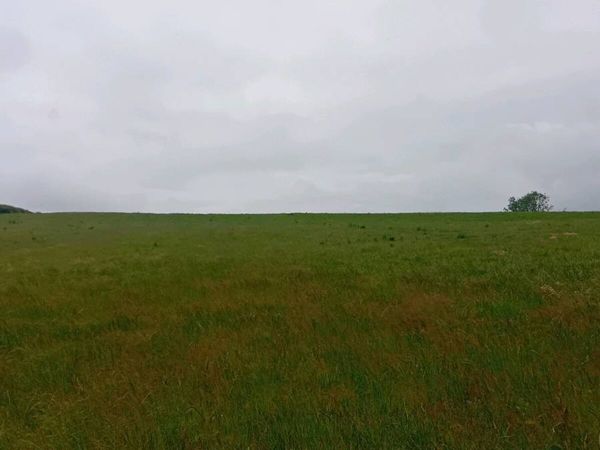 no-image