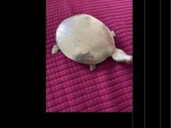 no-image