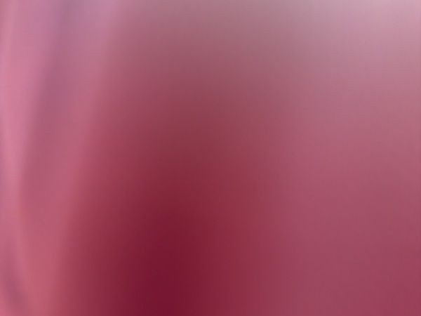 no-image