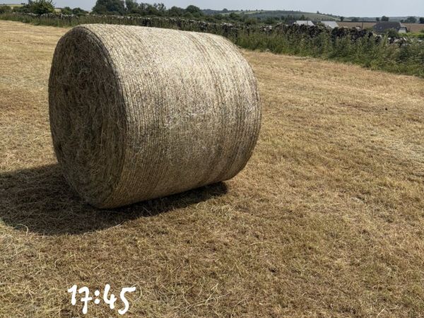 no-image