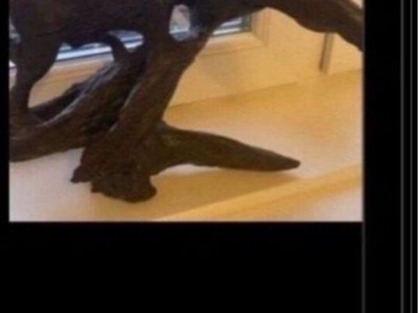 no-image