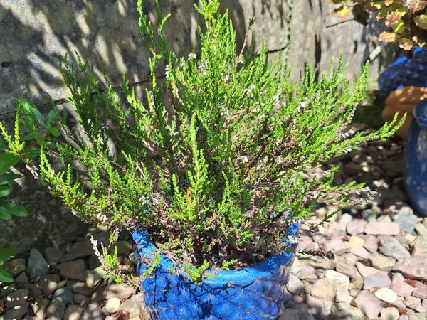 no-image