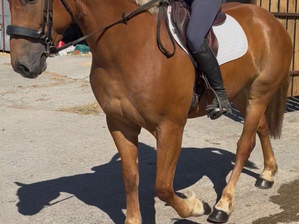 no-image