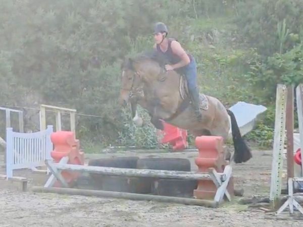 Cracking little cob. - Main image