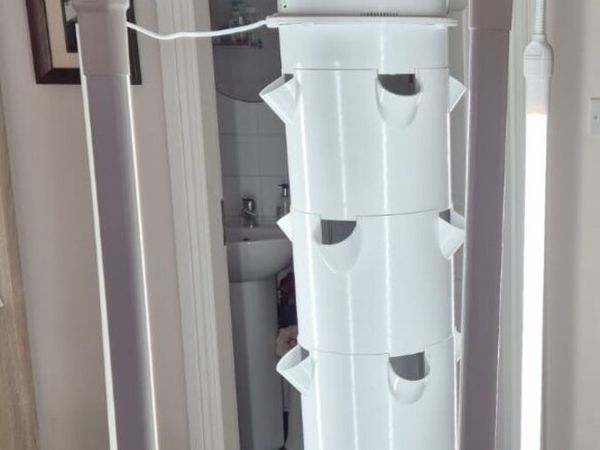 no-image