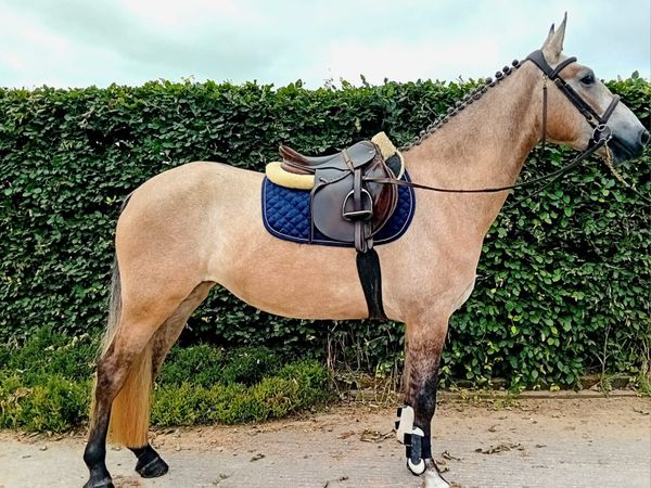 no-image