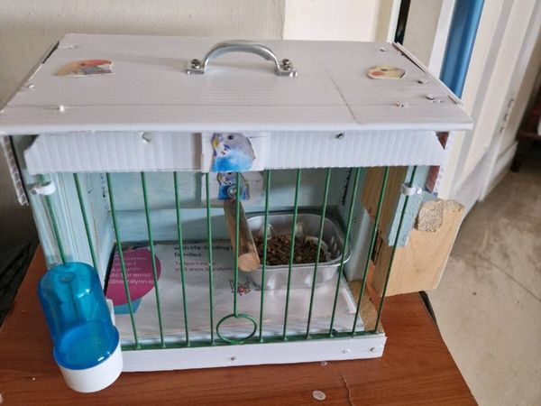Transport box for budgies. - Main image