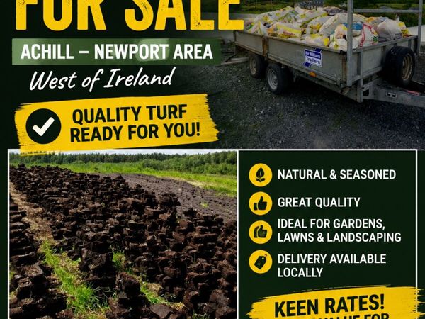 no-image