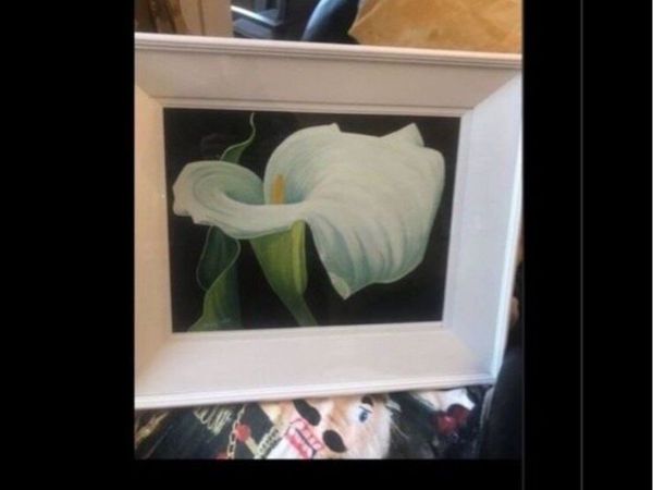 no-image