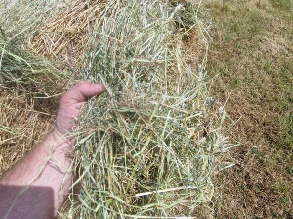 no-image
