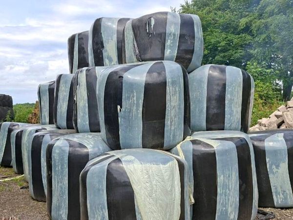 no-image
