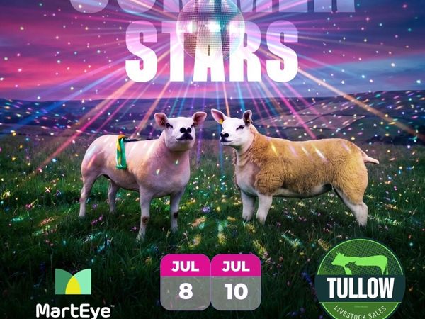 no-image
