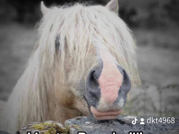 no-image