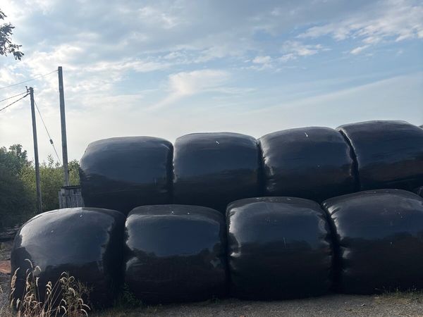 no-image