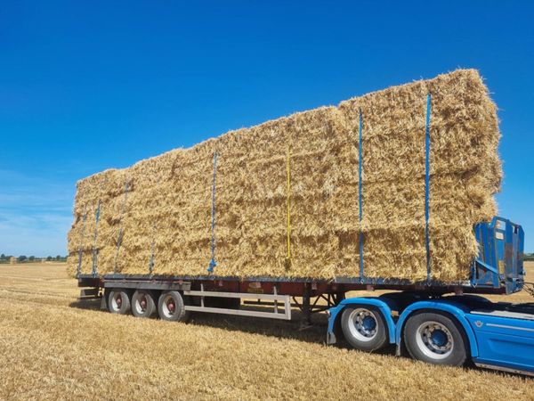 Barley wheat and oaten straw - Main image