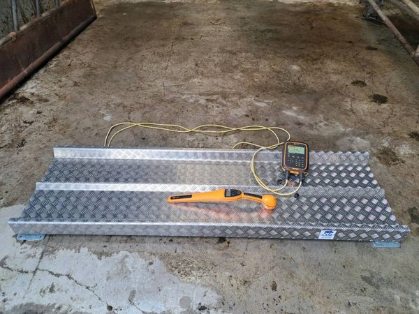 no-image