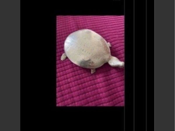 no-image