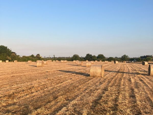 no-image