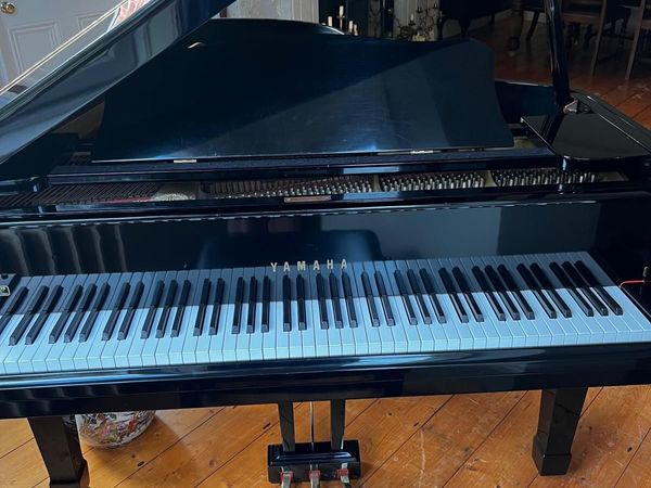 no-image