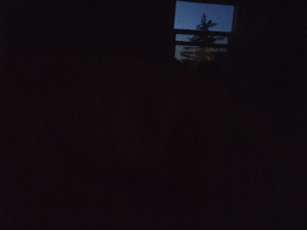 no-image