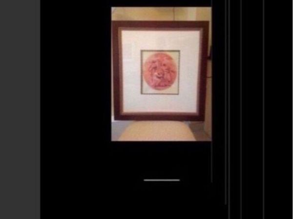 no-image