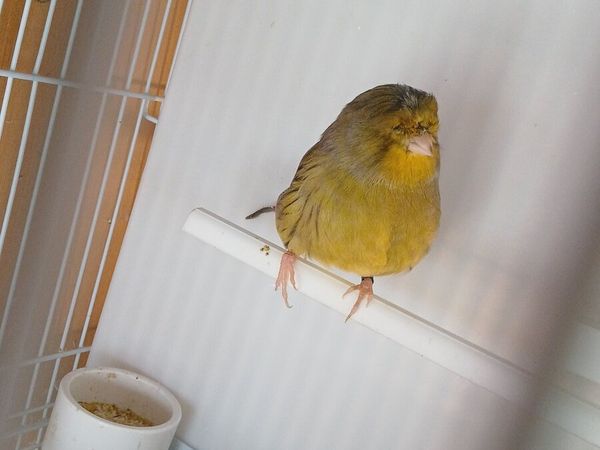 no-image