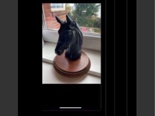 no-image
