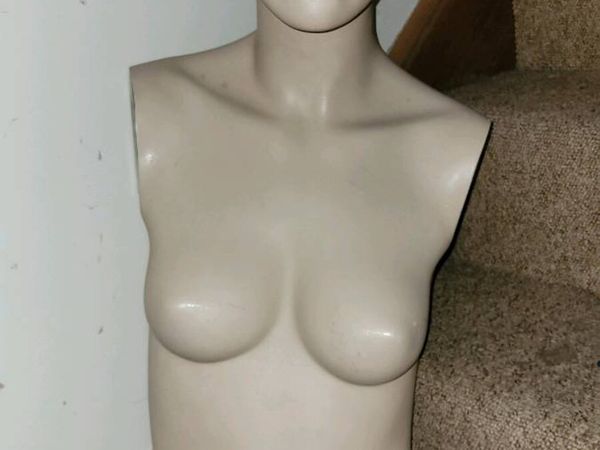 no-image