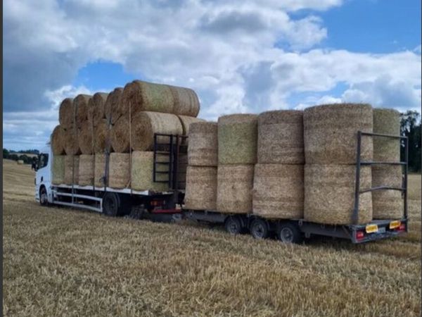 Hay and meadowing and straw on the flat wanted - Main image
