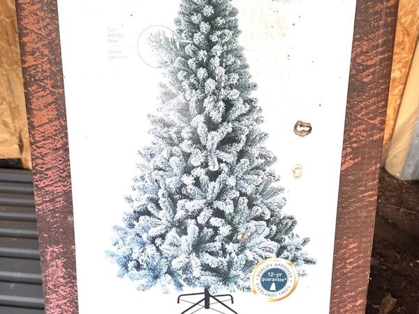 Christmas tree - Main image