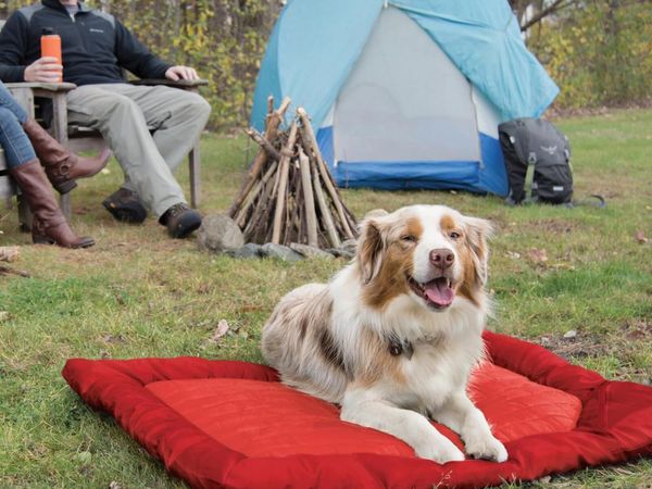 Brand New Water Resistant Dog Bed - Main image