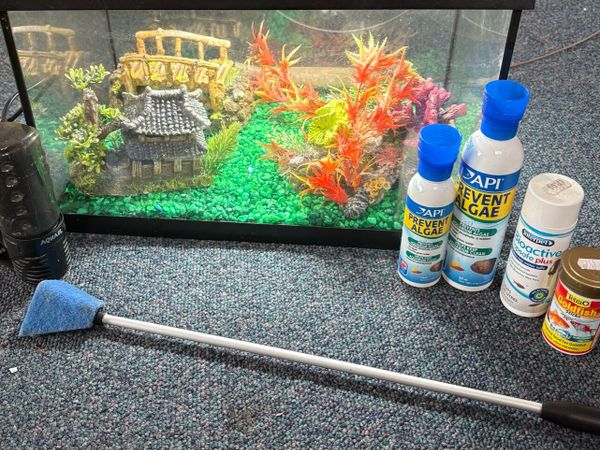 Fish Tank - Main image