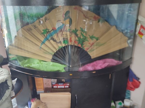 Fish tank - Main image