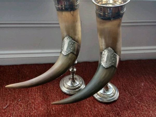 20th century real cow horns - Main image