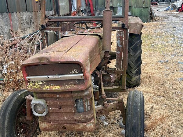 Massey 135 - Main image