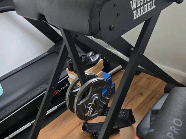 Westside Barbell Reverse Hyper - Main image