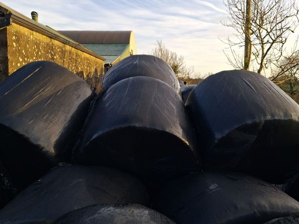 Round Bales of Silage - Main image