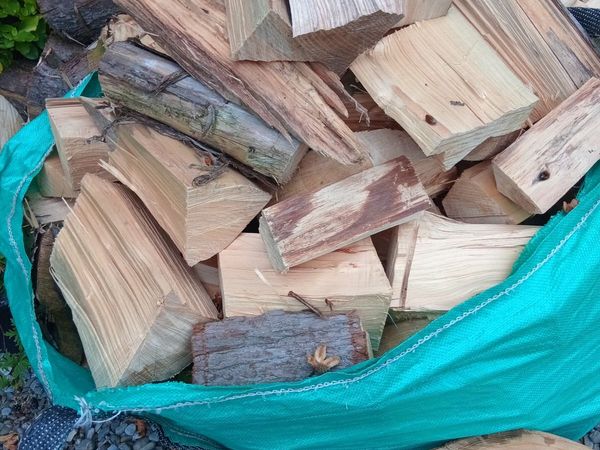Wood - Main image