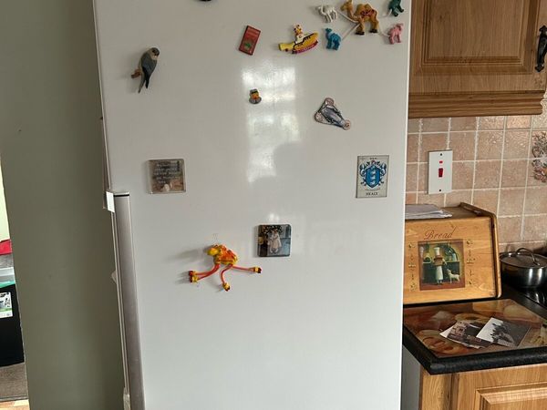 Indesit Full height fridge - Main image