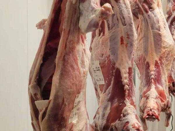 Goats meat - Main image
