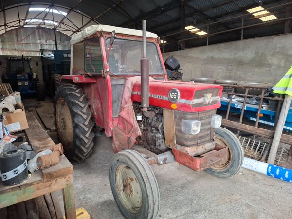 Massey Ferguson 165 - Main image