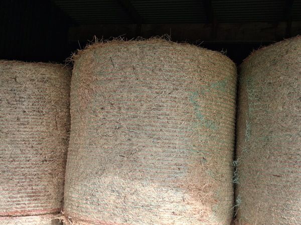 Round Bales of Hay - Main image