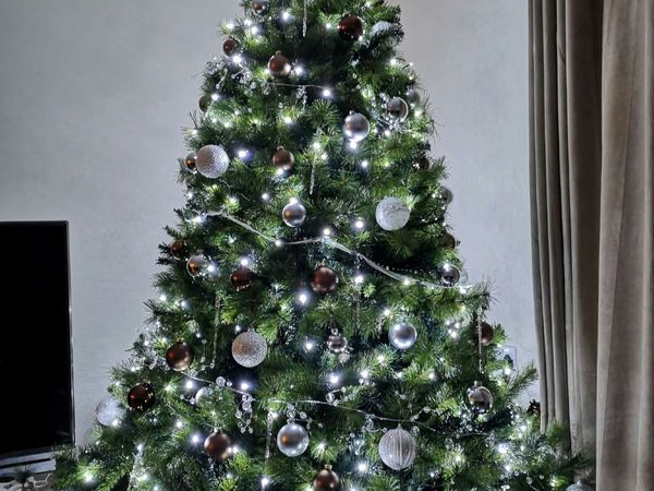 Christmas tree - Main image