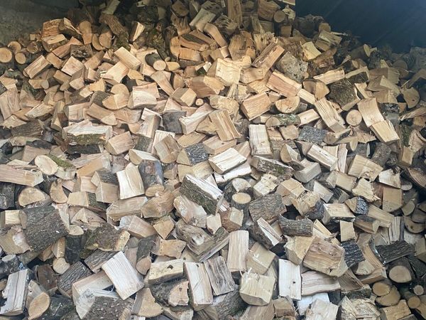 Firewood - Main image