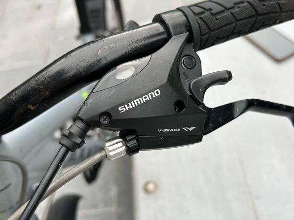 Bike ridgeback - Main image
